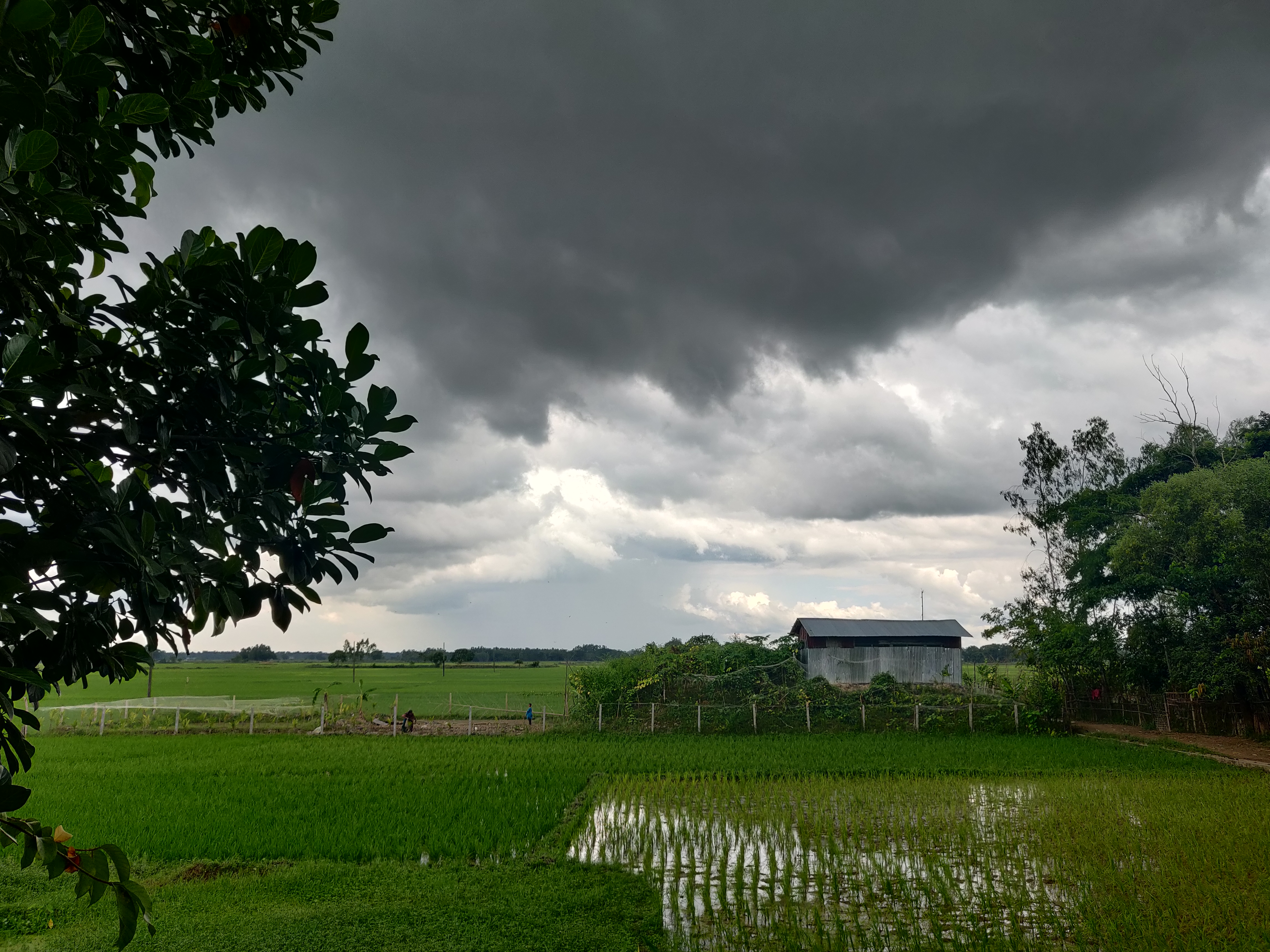 Nature Photography