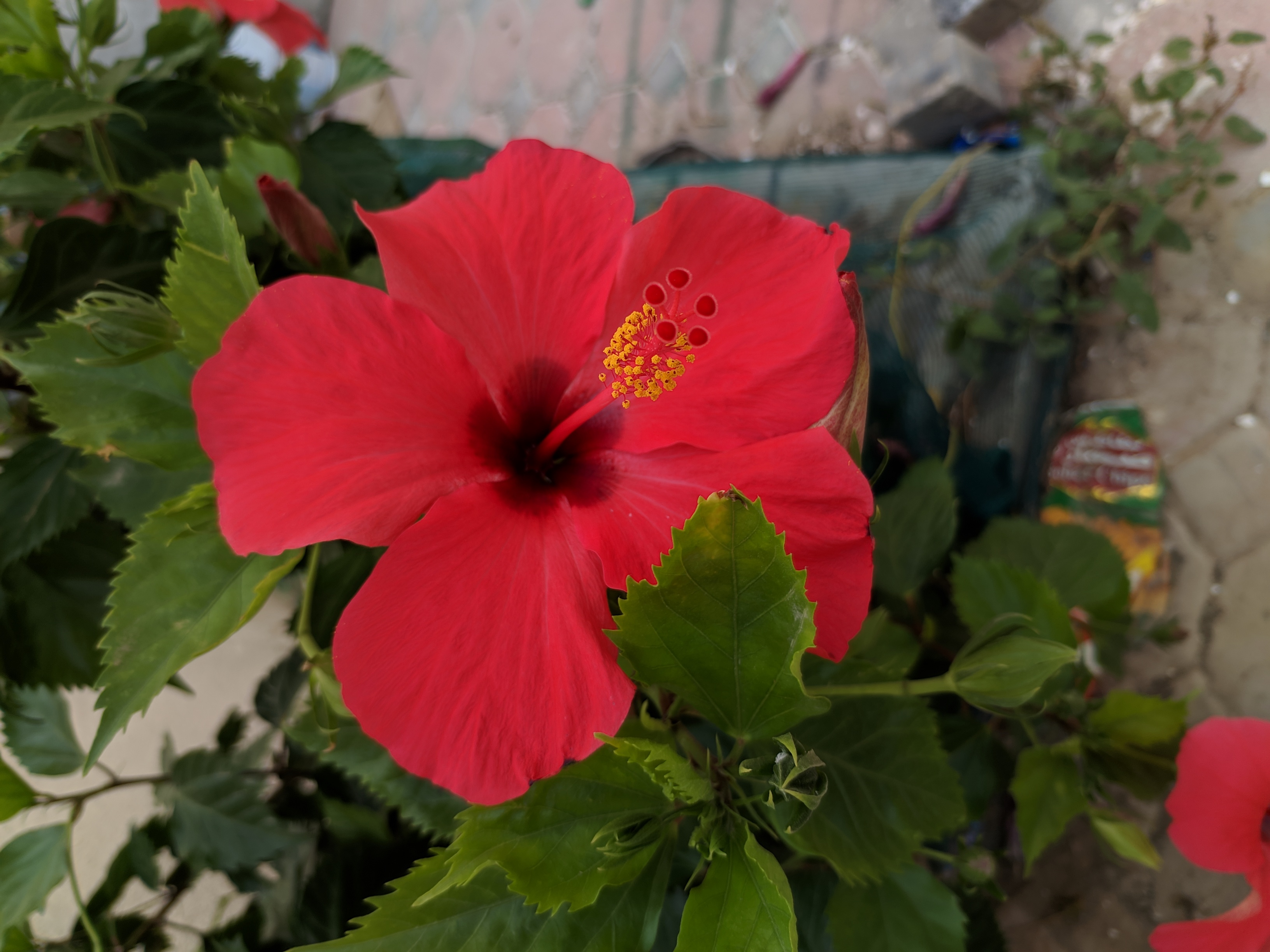 Nature Photography